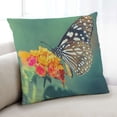 thumbnail image 1 of Ahgly Company Insects Butterfly Indoor Throw Pillow, 18 inch by 18 inch, 1 of 6