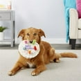thumbnail image 2 of Plush Pet Toy, Birthday Cake Design Dog Chew Toy, Interactive Dog Squeaky Toys, Pet Toys, 2 of 4