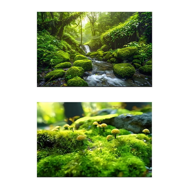 Fondo fotográfico de 57x87 cm con paisaje natural, doble cara. Estilo a