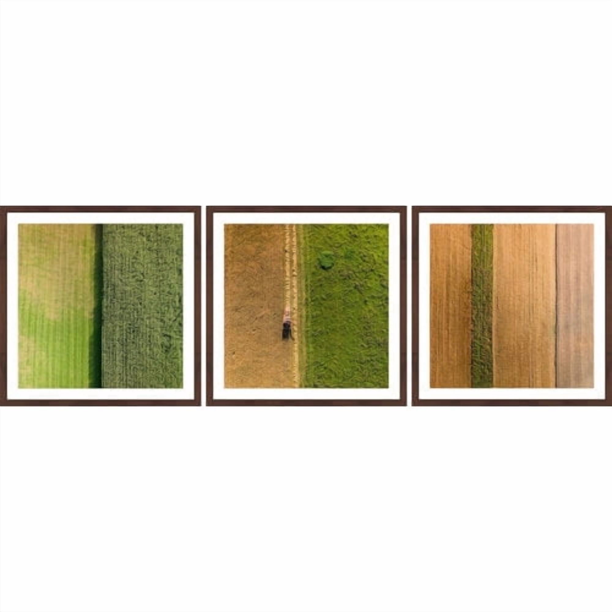 Crop Rows Triptych