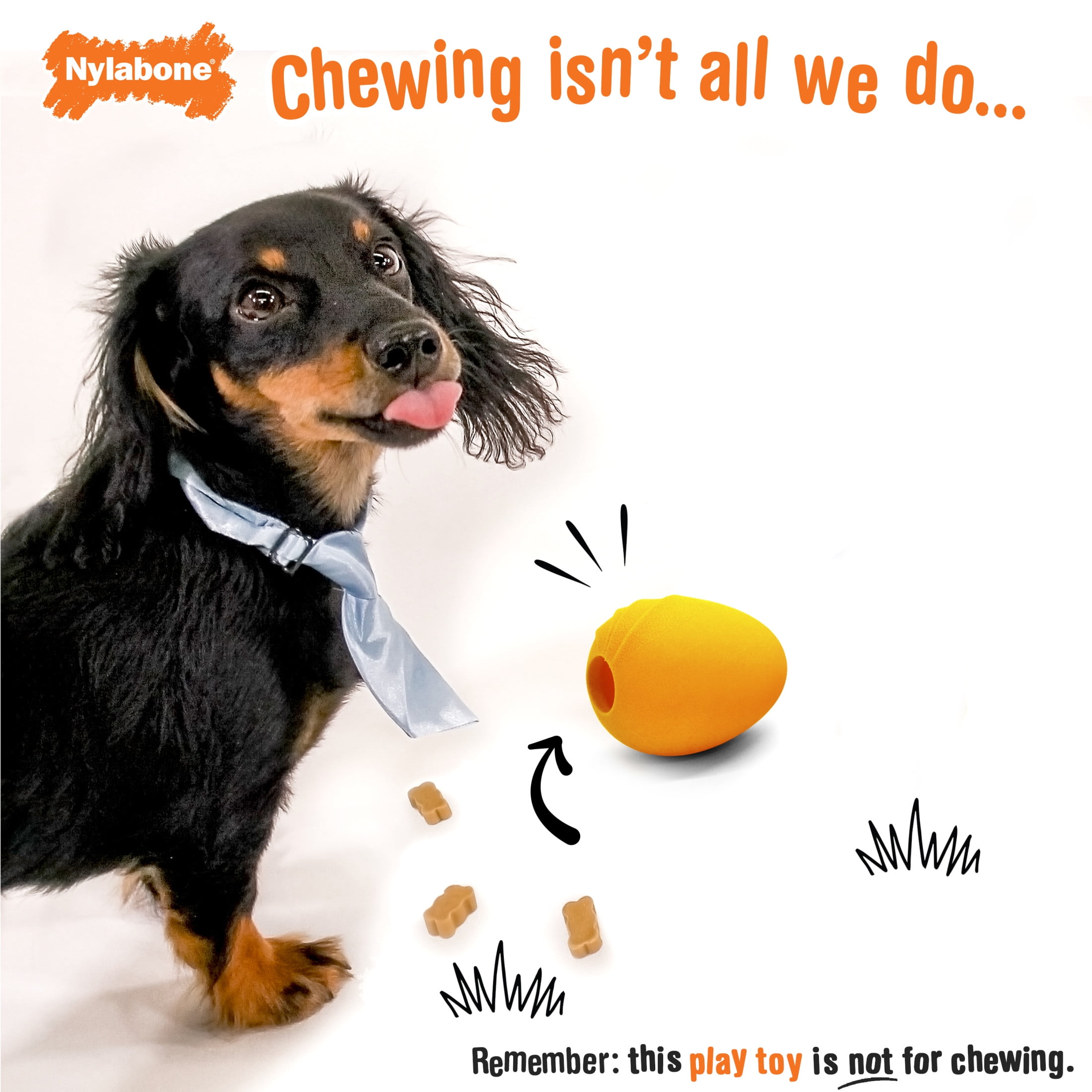 Nylabone Eggi Interactive Small Dog Toy, Bouncy Treat Toy, Creative Play, Orange