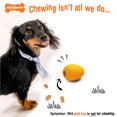 thumbnail image 3 of Nylabone Eggi Interactive Small Dog Toy, Bouncy Treat Toy, Creative Play, Orange, 3 of 14