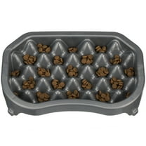 Neater Pet Brands Neater Slow Feeder to Improve Digestion, Stop Obesity, and Slow Down Eating, 6 Cups, Gunmetal