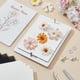 thumbnail image 5 of Kit de prensado de flores, miniatura rectangular de 19 x 14 cm con papel secante para adultos, kit de conservación de flores de madera, 5 of 6