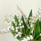 thumbnail image 4 of Ramo de orquídeas artificiales con forma de campana para bodas, fiestas, decoración del hogar y el jardín | Plantas de orquídeas de plástico realistas con hojas de tela, 4 of 6