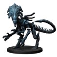 thumbnail image 2 of ALIEN : Extension Reine ALIEN Nouveau, 2 of 2