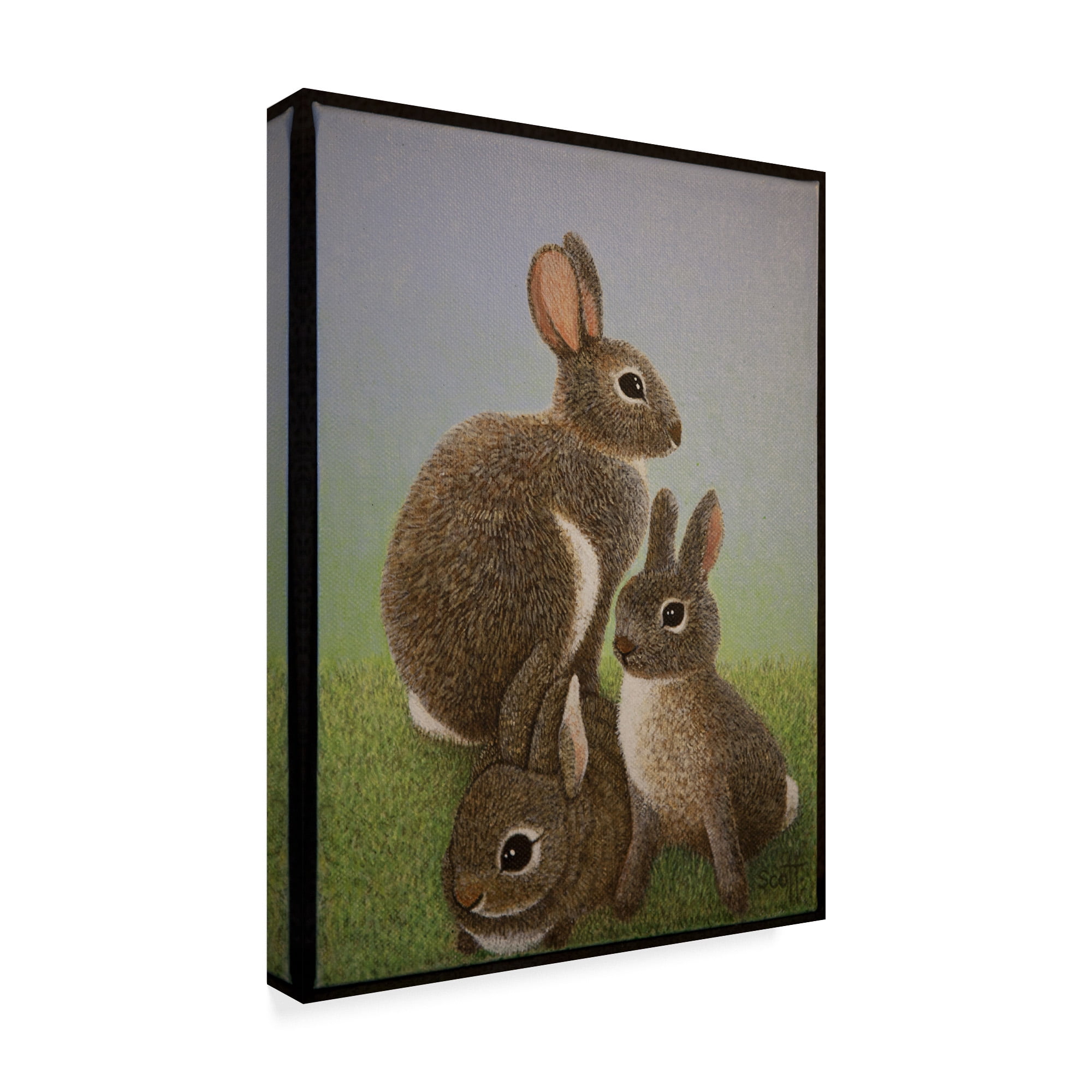Trademark Fine Art 'Rabbit Family, 2016' Canvas Art by Pat Scott