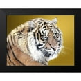 thumbnail image 2 of Lewis, Sheldon 24x19 Black Modern Framed Museum Art Print Titled - Tiger Eyes, 2 of 5