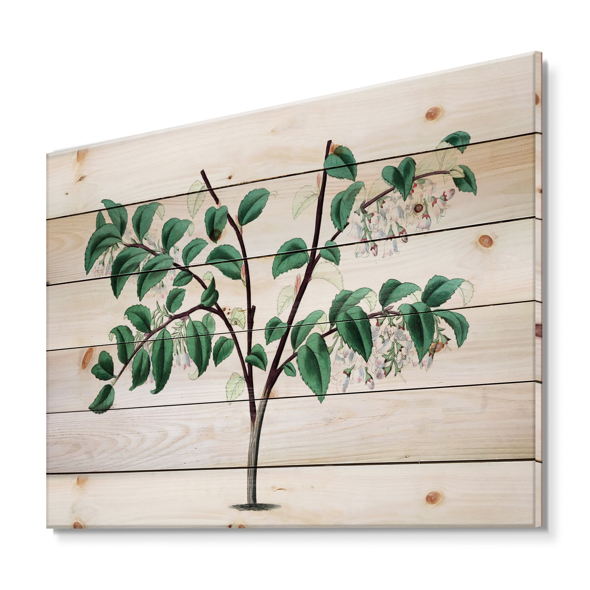 Designart 'Ancient Green Leaves Plants I' Traditional Print on Natural Pine Wood