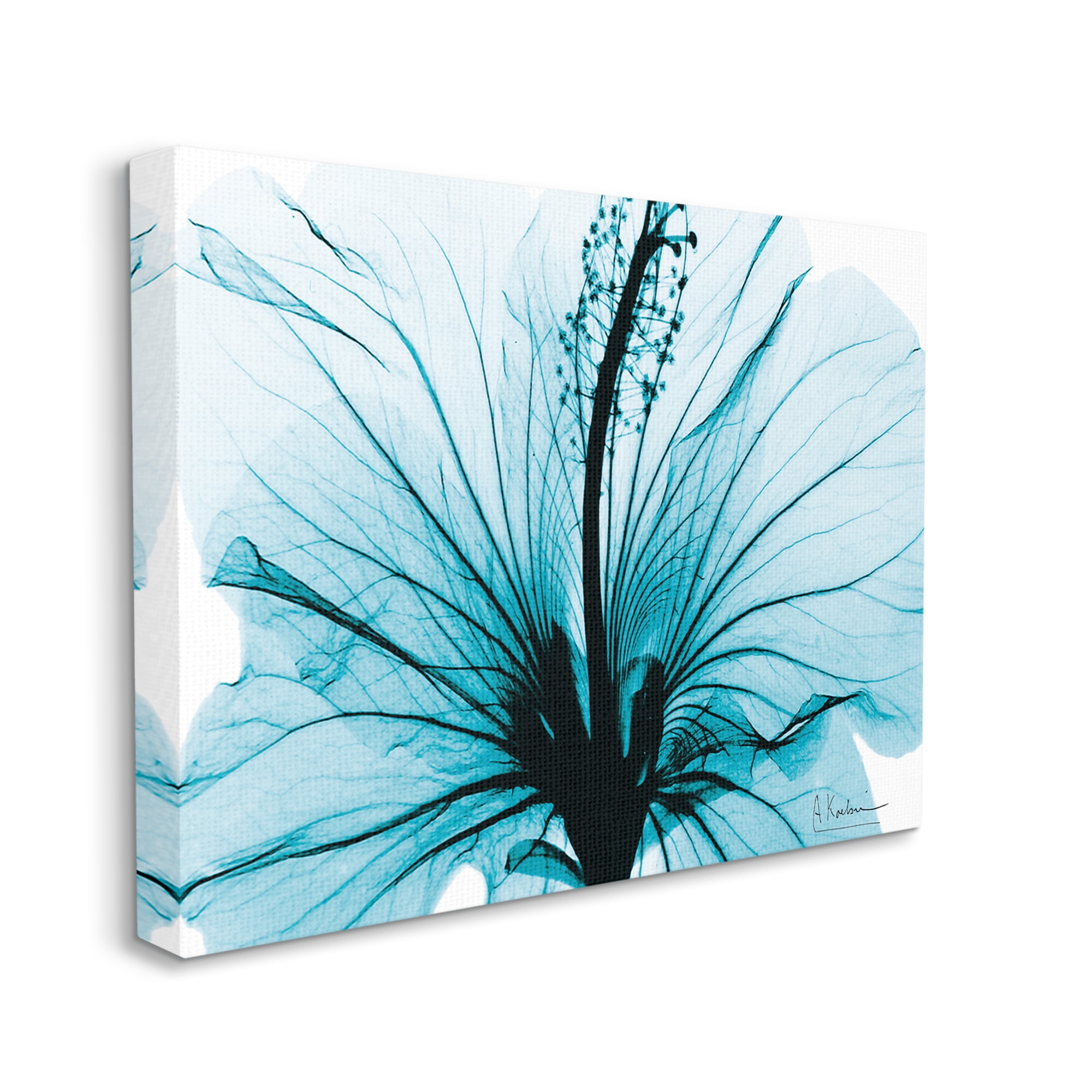 Stupell Industries Blue Flower X-Ray Botanical & Floral Photography Gallery Wrapped Canvas Print Wall Art, 30 x 24