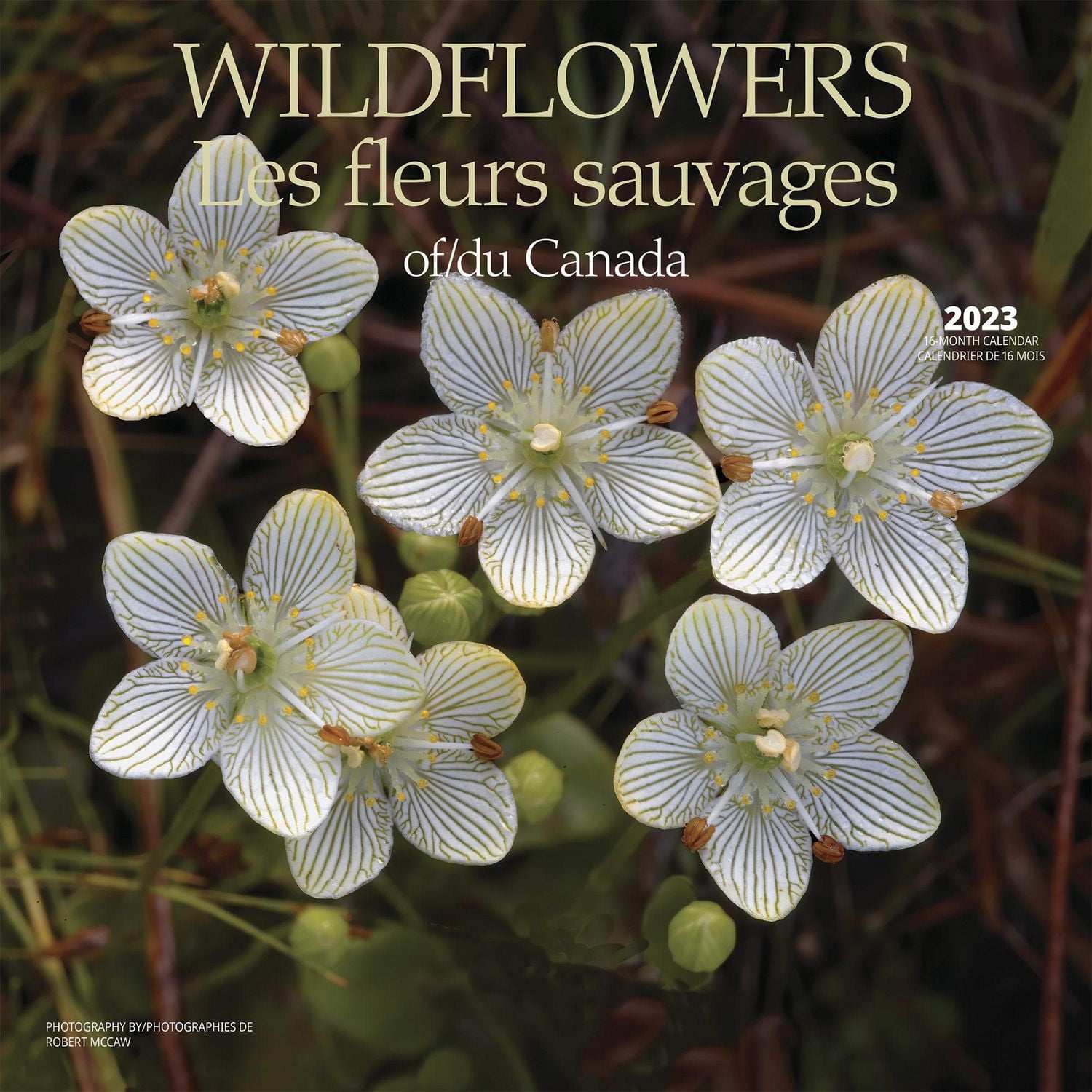 Wildflowers of Canada 2023 Square
