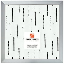 Craig Frames Modern Aesthetics 125, 20x20 inch Picture Frame, Silver