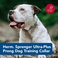 thumbnail image 2 of Collar de adiestramiento para perros Herm Sprenger Ultra-Plus con puntas cromadas, 2 of 9