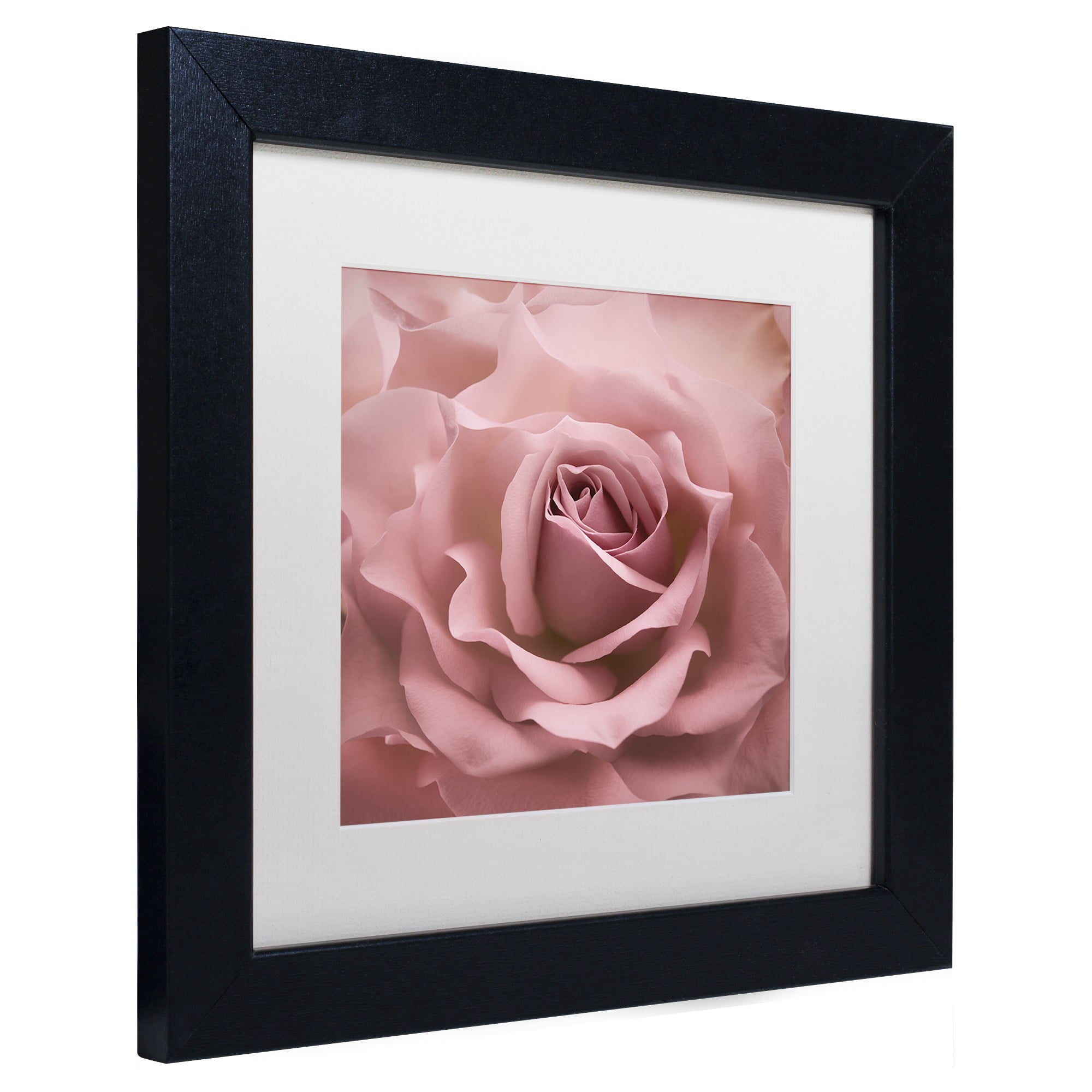 Trademark Fine Art 'Misty Rose Pink Rose' Canvas Art by Cora Niele, White Matte, Wood Frame