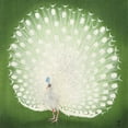 thumbnail image 2 of Koson, Ohara 26x26 White Modern Wood Framed Museum Art Print Titled - Peacock , 2 of 4