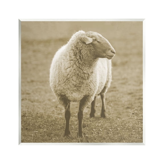 Stupell Industries Sheep Grazing Farmland Photography Animals & Insects Photography Unframed Art Print Wall Art