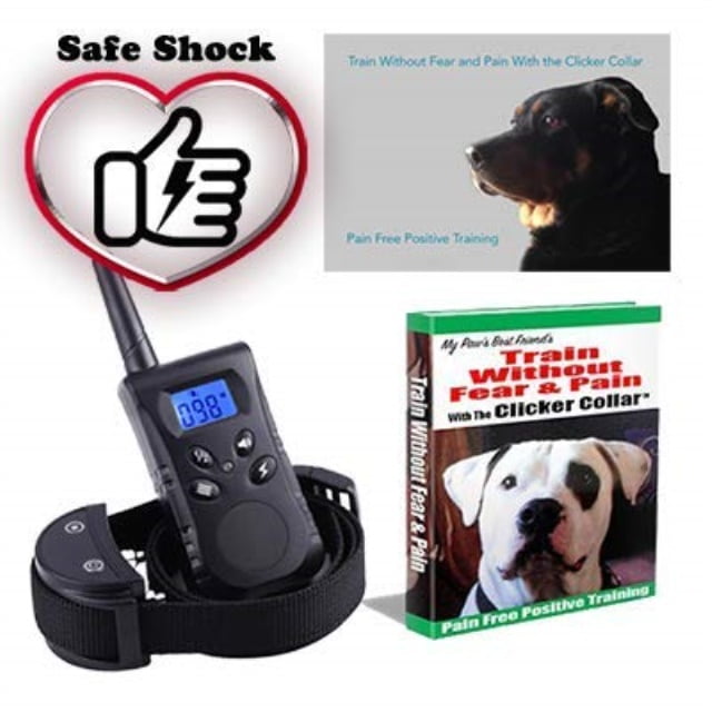 best shock collar for labs