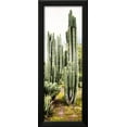 thumbnail image 2 of �Viva Mexico Panoramic Collection  Cactus IV, Botanical World Culture Framed Art Print Wall Art by Philippe Hugonnard Sold by Art.Com, 2 of 5