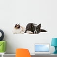 thumbnail image 1 of Dog and Cat Wall Decal by Wallmonkeys Peel and Stick Graphic (24 in W x 16 in H) WM211086, 1 of 4