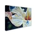 thumbnail image 2 of Trademark Fine Art "Hibiscus" Canvas Art by Jennifer Redstreake, 2 of 3