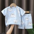 thumbnail image 2 of Swuxness Toddler Casual Short Sleeve 2 Piece Sets, Kids Summer Outfit Sets, Children's Summer Printed Short Sleeved Round Neck T-shirt+shorts Two-piece Set Multicolor, 1-2 Years, 2 of 4