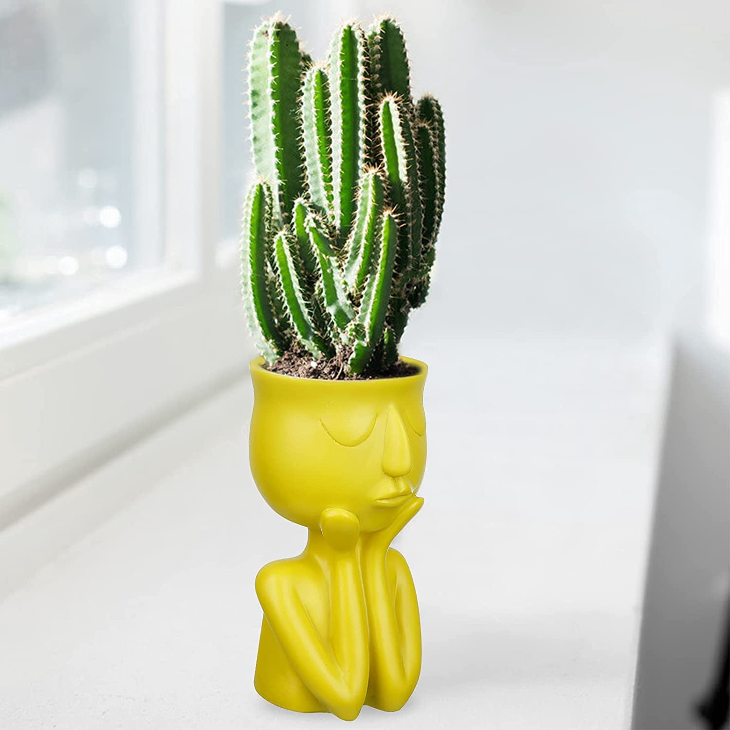 Sunjoy Tech Face Flower Pot, Head Planter Pot Succulent Planter Resin Cactus Planter, Small Cute Plants Flower Pots for Indoor Home Office Decoration