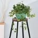thumbnail image 5 of Maceta colgante para plantas de interior y exterior | Diseño con barrera de agua que previene la pudrición de las raíces | Maceta pequeña de plástico para suculentas, hiedra y rosas verdes, 5 of 6