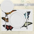 thumbnail image 3 of Ambesonne Colorful Place Mats Set of 4, Monarch Wings Abstract, Standard Size, Multicolor, 3 of 6