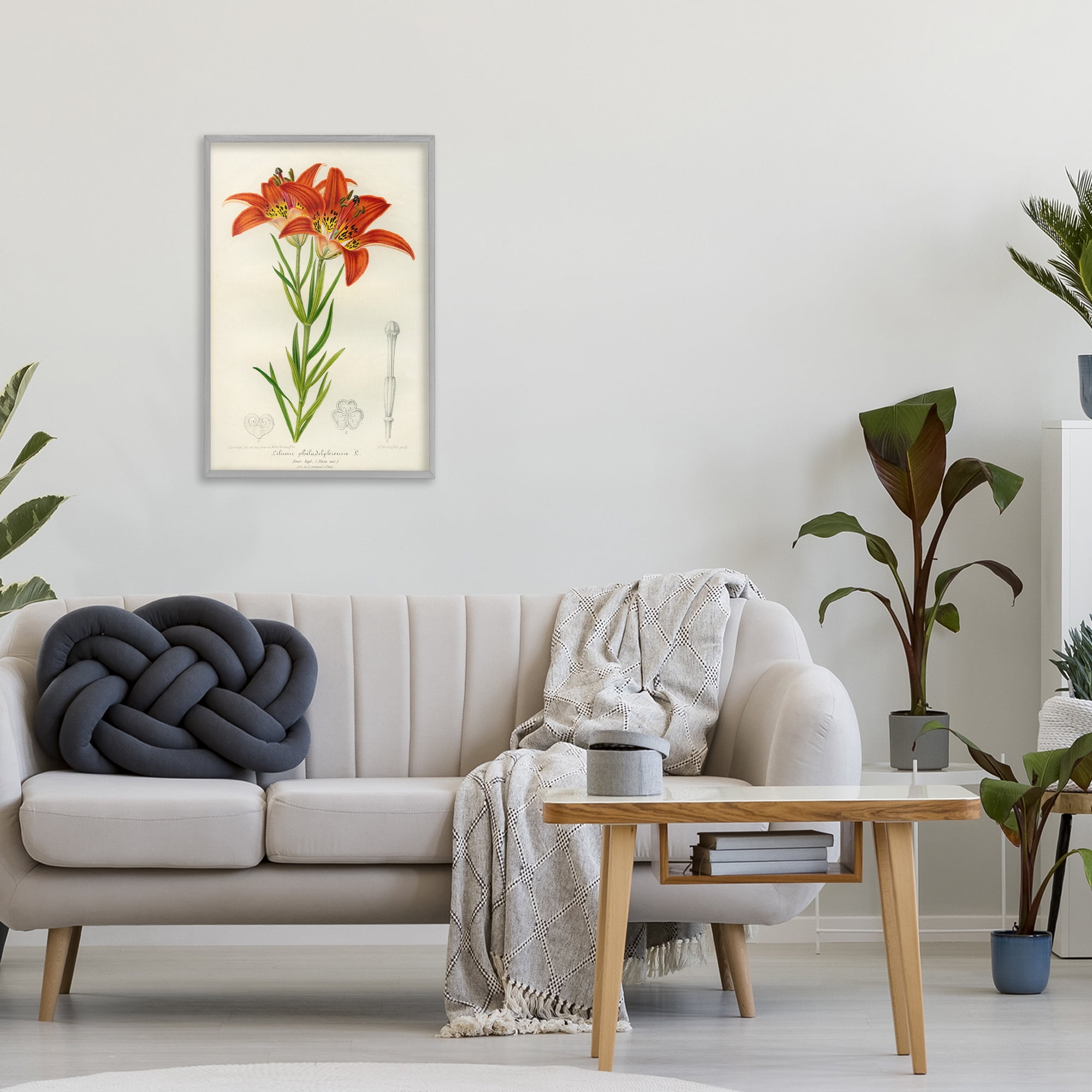 Stupell Industries Western Red Lily Gray Framed Giclee Art, design by Print Collection