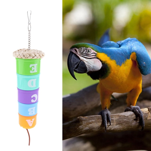 Plástico de Pájaro de material acero Inoxidable para Alimenta de Envase de Comida de Consumición Colgante de Comida de Cuenco de Taza Colco Pájaro forrajeo de juguete