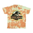 thumbnail image 5 of Jurassic World T-Shirt Boys' Tie-Dyed Logo Design Graphic Print Kids Tee, 5 of 5