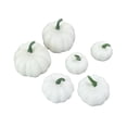 thumbnail image 1 of Modelo de Calabazas Falsas de 6 piezas Macarena Calabazas Falsas Estilo C, 1 of 5