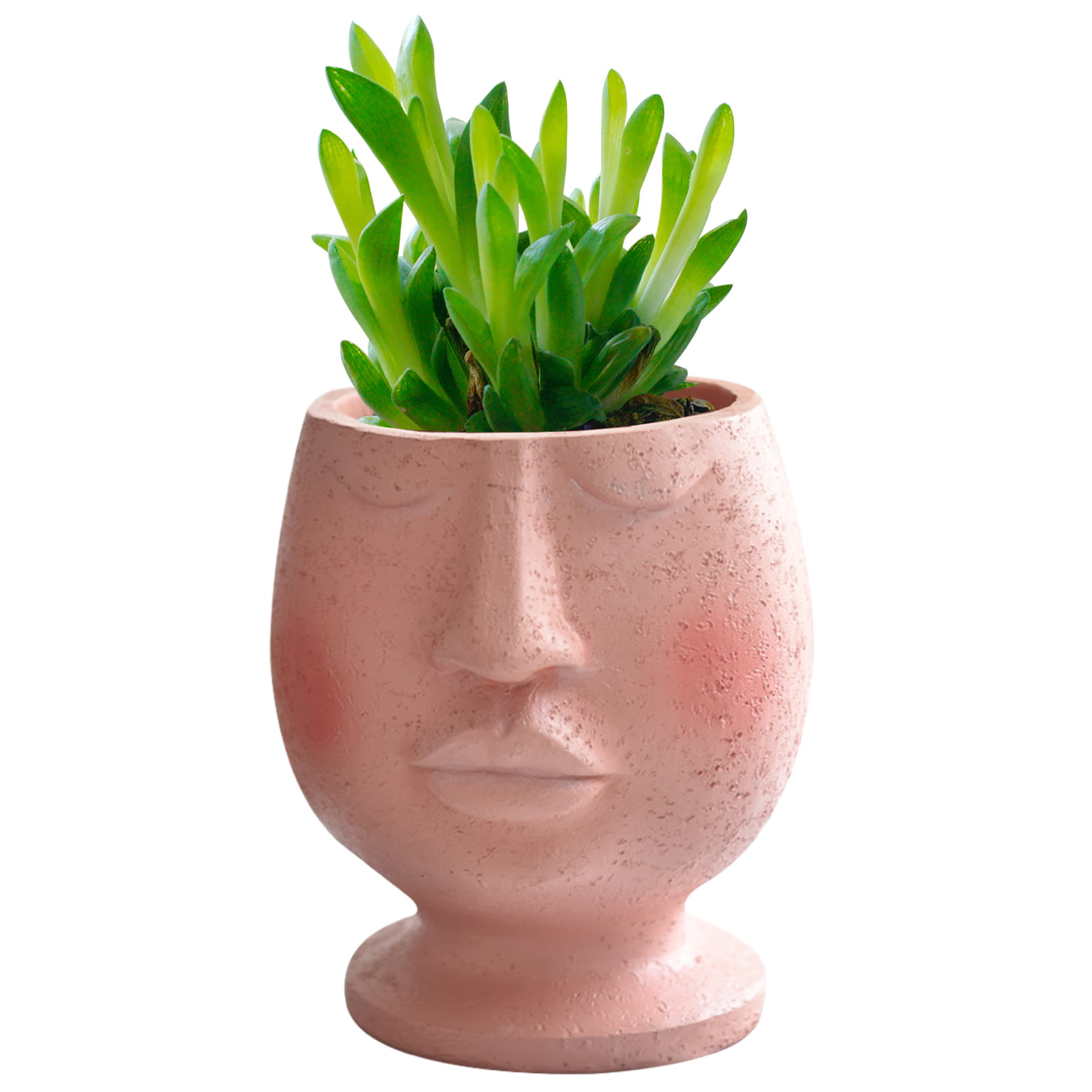 Mini Fox Head Succulent Planter Faux Plant Flowerpot Figure Office Indoor Decor 