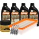 thumbnail image 1 of Kit De Afinación Con Aceite 10W30 Sintético, Bujías Platino, Filtro De Aire Y Filtro Para Aceite Sintético 10 Piezas Compatible con Hyundai Accent L4 1.6L DE 2009 A 2011, 1 of 1