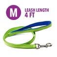 thumbnail image 4 of Vibrant Life 4' Nylon Metal Standard Dog Leash, Neon Green, Medium, 4 of 7