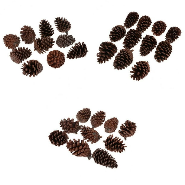30 Piezas Grandes Conos de Pino Seco Natural para Decoraciones Colgantes de