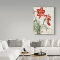thumbnail image 3 of Trademark Fine Art 'Joyful Tidings I on Wood' Canvas Art by Sue Schlabach, 3 of 3