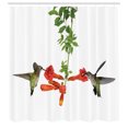 thumbnail image 3 of Ambesonne Hummingbirds Shower Curtain, Hummingbird Nectar Sip, 69"Wx84"L, Red Black Green, 3 of 5