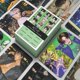 thumbnail image 1 of Lanbena 54 unids/set Kpop Nct Dream Glitch Mode Lomo tarjetas nuevo álbum Nct tarjetas fotográficas tarjetas impresas postales carteles regalos de seguidores, 1 of 5