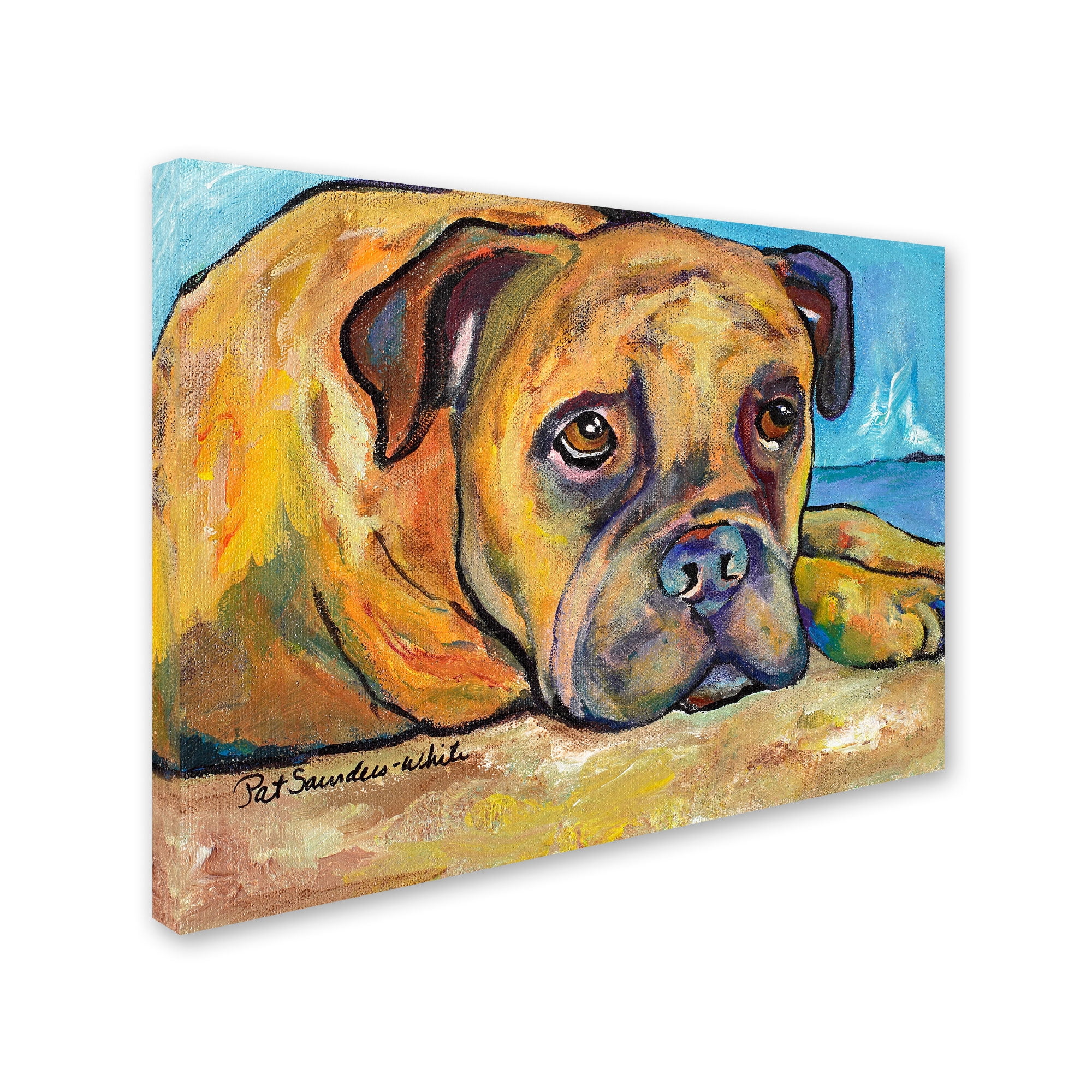 Trademark Fine Art "Lexie" Canvas Art by Pat Saunders-White