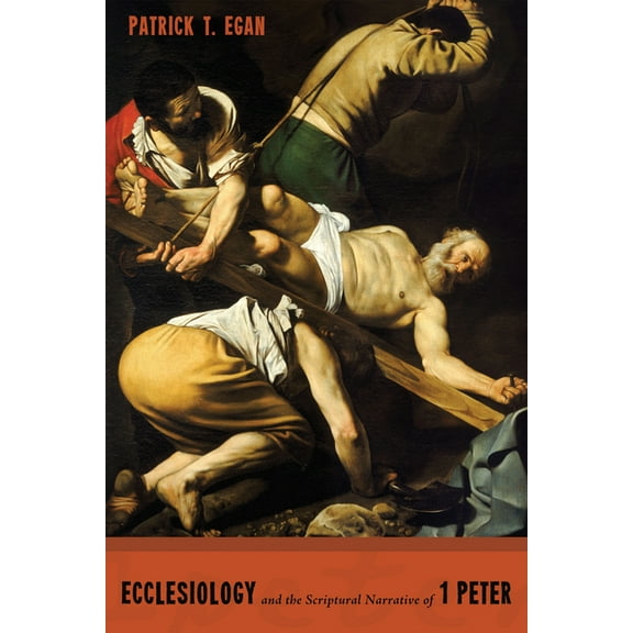 Ecclesiology and the Scriptural Narrative of 1 Peter (Hardcover)