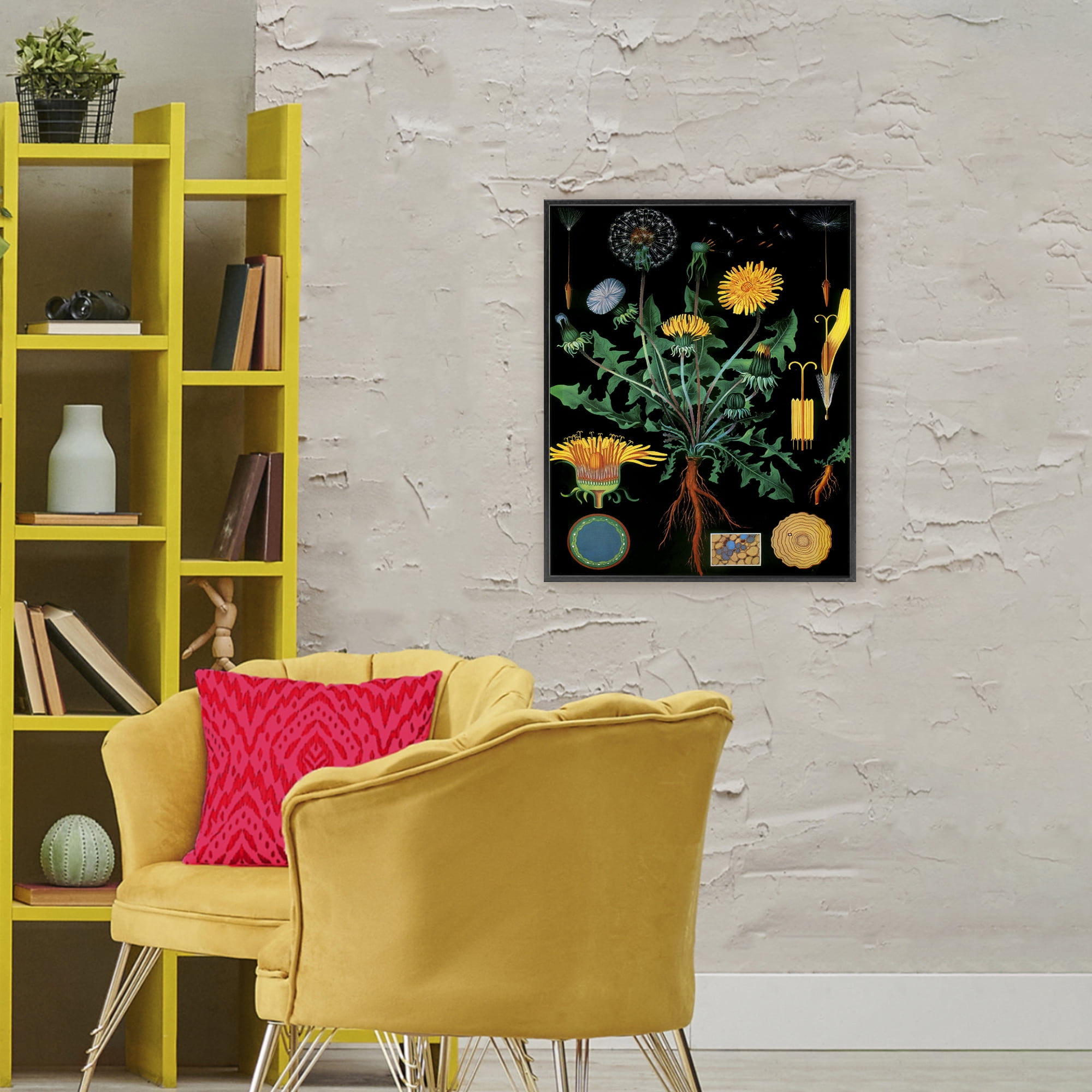 Stupell Industries Dandelion Botanical Illustration Black Framed Giclee Art, design by Vintage Hustle