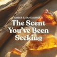 thumbnail image 7 of Yankee Candle Medium Pillar Scented Candle, Amber & Sandalwood, 14.25 oz (2-Pack), 7 of 7