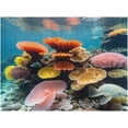 thumbnail image 3 of 500 Piece Underwater World Puzzle for Adults Teens, Premium Jigsaw Wooden Puzzle,20"x15" Jigsaw Puzzle Wooden Jigsaw Nature Puzzles for Family Party Holiday - Each Piece is Unique, 3 of 8