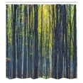 thumbnail image 3 of Ambesonne Forest Shower Curtain, Autumn Woodland Nature, 69"Wx84"L, Grey Green, 3 of 5
