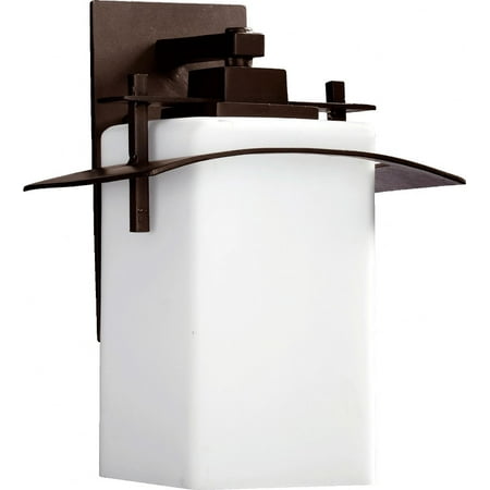 1 Light Outdoor Wall Lantern in Contemporary Style 9.5 inches Wide By 13 inches High Bailey Street Home 183-Bel-601401