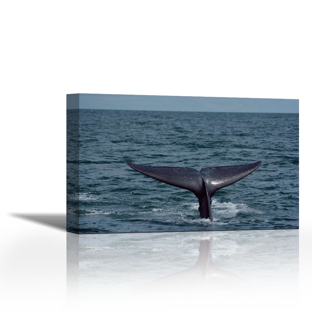 Whale tail slot machine machines Whale tail slot machine machines