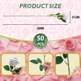 thumbnail image 2 of 50 unidades de rosas artificiales Jefuzh, flores sintéticas de seda blanca, 2 of 7