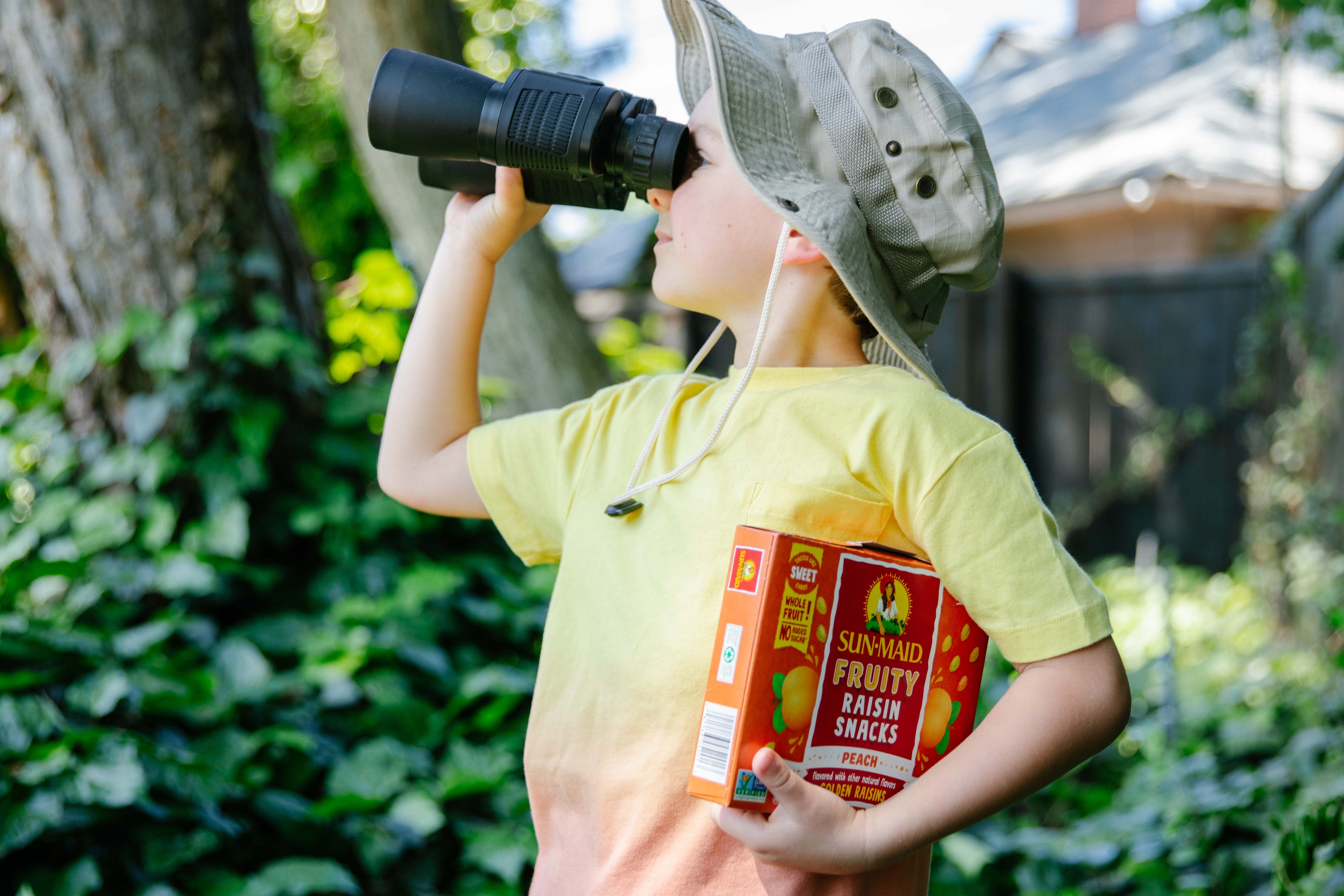 Sun-Maid Collations Fruitees aux Raisins Secs, Framboise Bleue Surette 140g SM BL RSPB RAIS SOUR - FRENCH