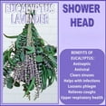 thumbnail image 4 of 52 PCS Mix Dried Eucalyptus & Lavender Flowers Bundles for Shower, 17'' Natural Real Hanging Silver Dollar Eucalyptus Leaves Stems, Fragrance Fresh Plants Home Bathroom Decor, 4 of 6